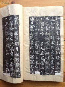 全稱為 大唐故特進行右衛(wèi)大將軍兼檢校右羽林軍仗內(nèi)供奉上柱國卞國公贈并州大都督泉君墓志銘